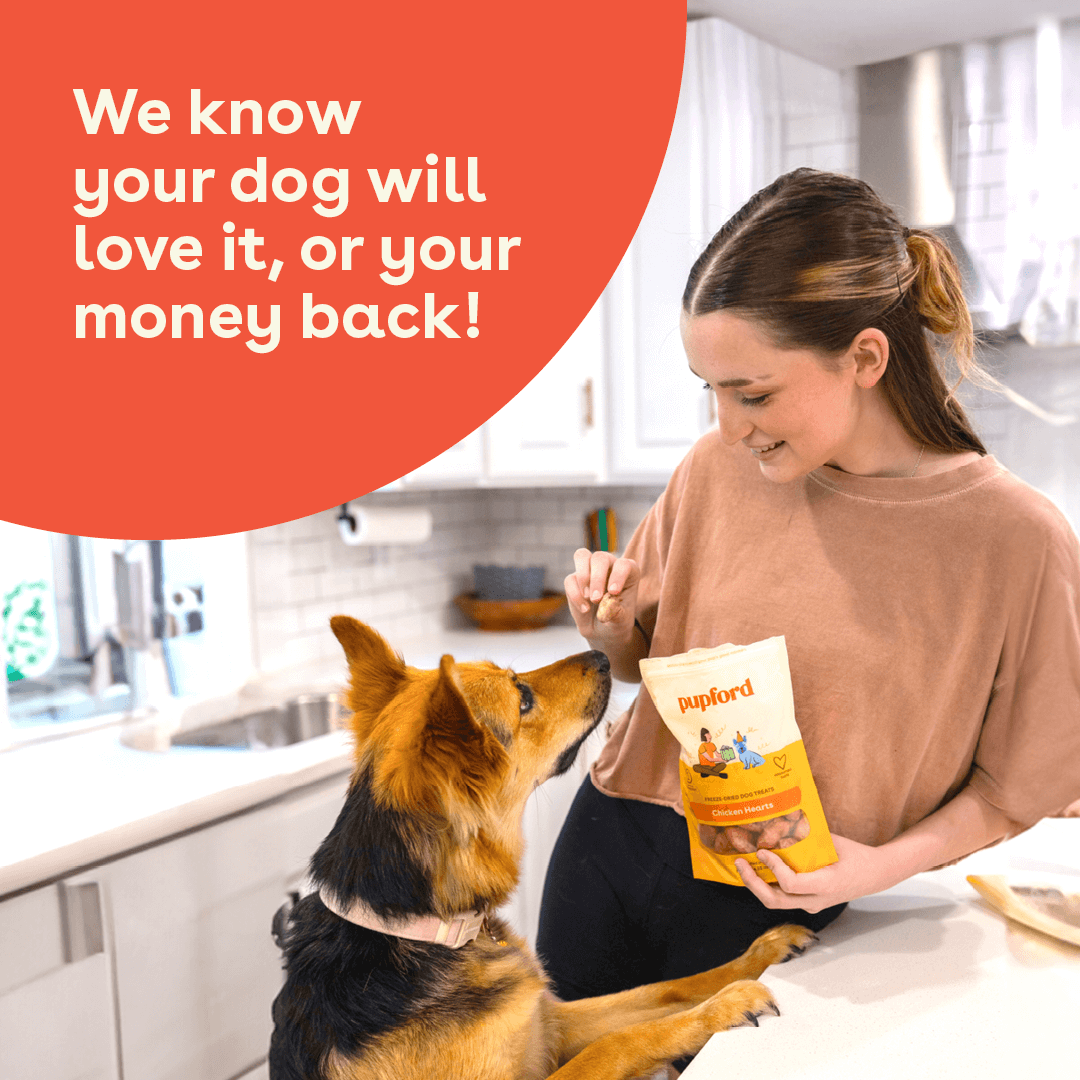 a woman giving her brown dog a chicken heart treat | Pupford