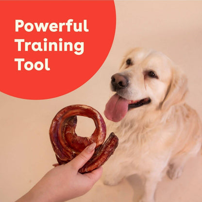 a yellow lab about to eat a dog chew ring with the text 'powerful training tool' | Pupford