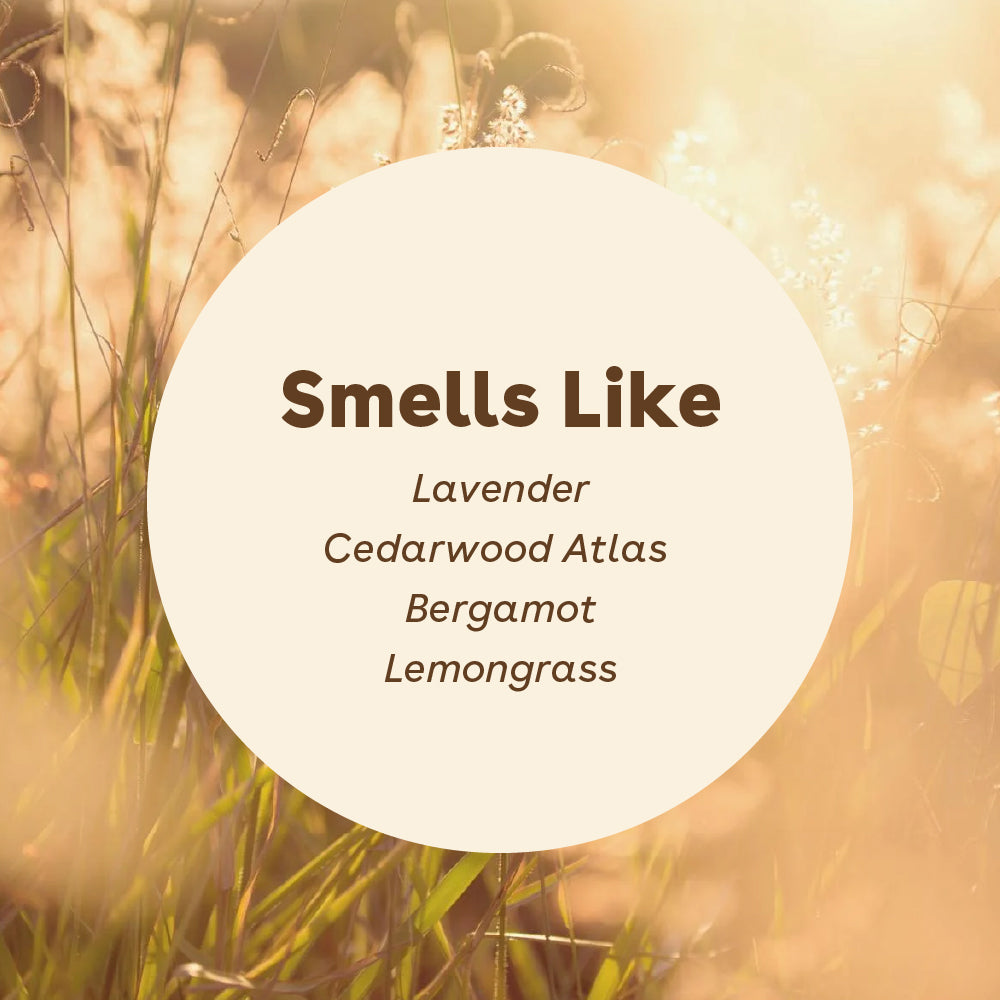 sudsy alpine meadow smells like lavender, cedarwood atlas, bergamot, and lemongrass | Pupford