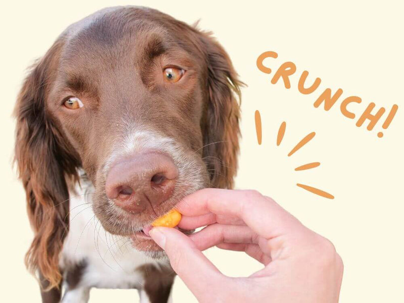 Product treats image