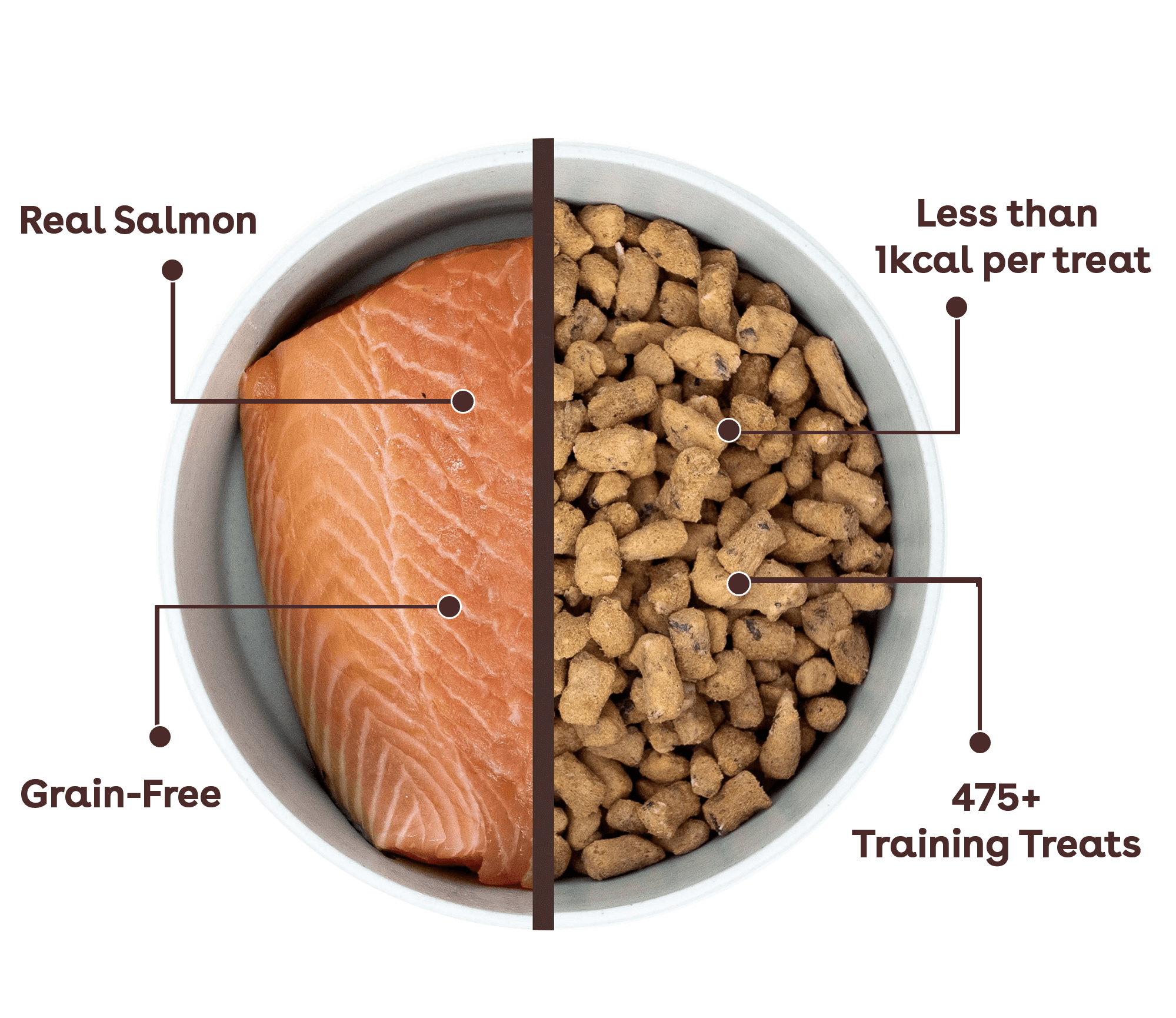 Freeze Dried Salmon Training Treats Image