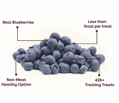 Freeze Dried Blueberry Training Treats - Descripción