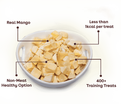 Freeze Dried Mango Training Treats - Descripción