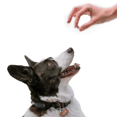 Freeze Dried Rabbit Training Treats - Descripción