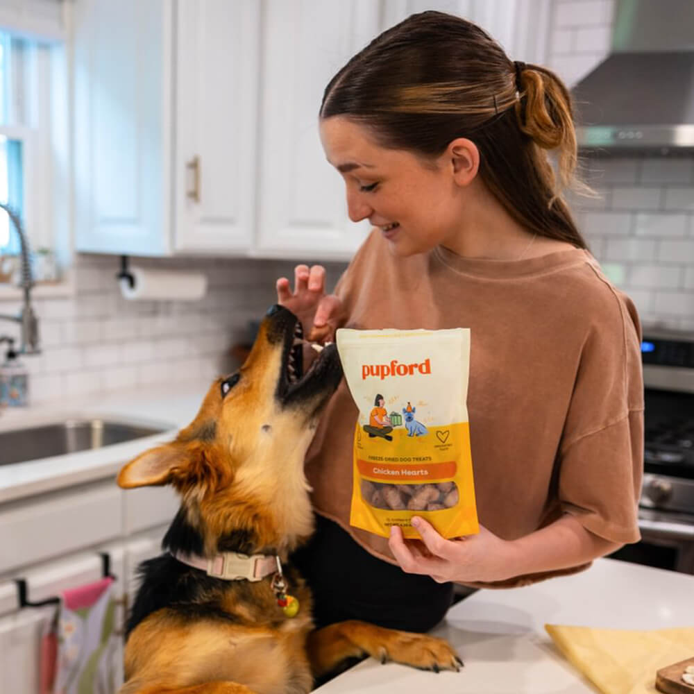 How to use Freeze-Dried Chicken Heart
