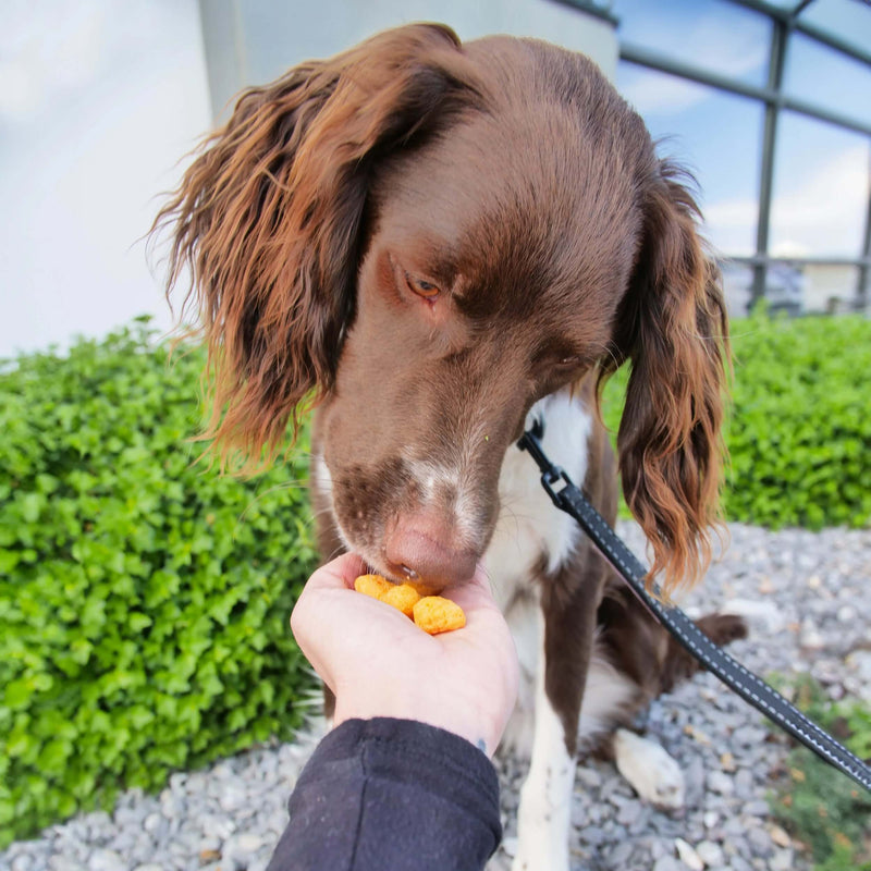 Product treats image