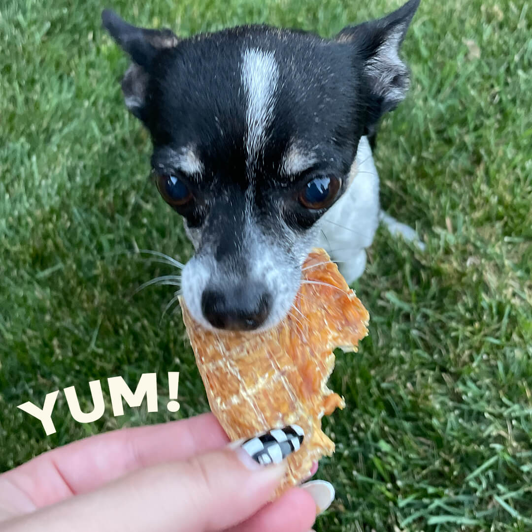 Product Treats Image