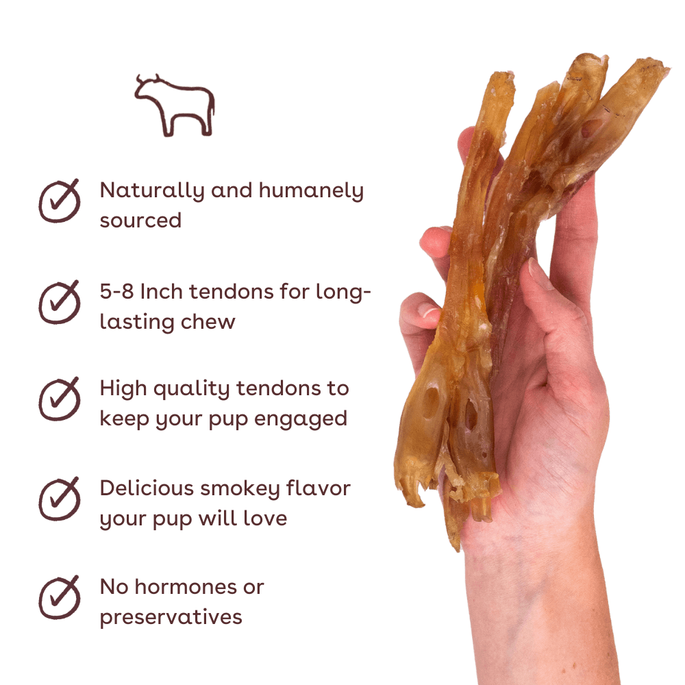 standard beef tendon in hand with benefits