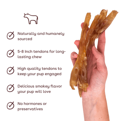 standard beef tendon in hand with benefits
