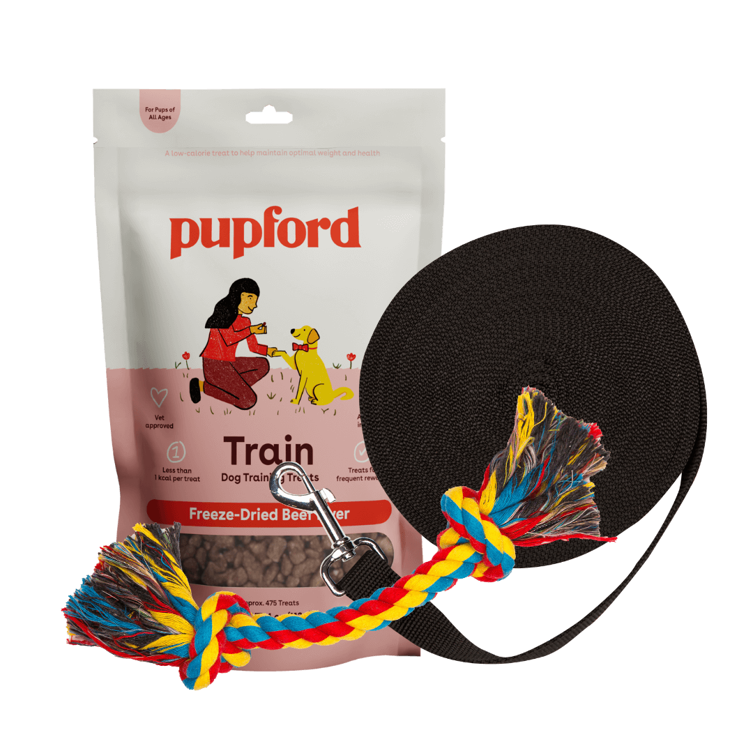 Training Starter Pack with beef liver large lead
