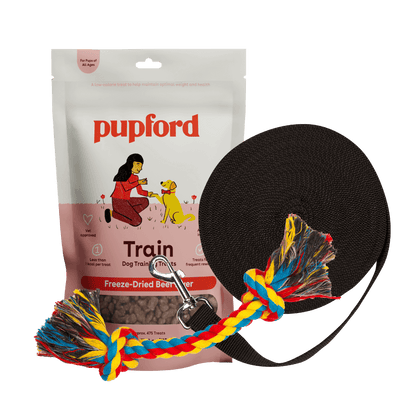 Training Starter Pack with beef liver large lead