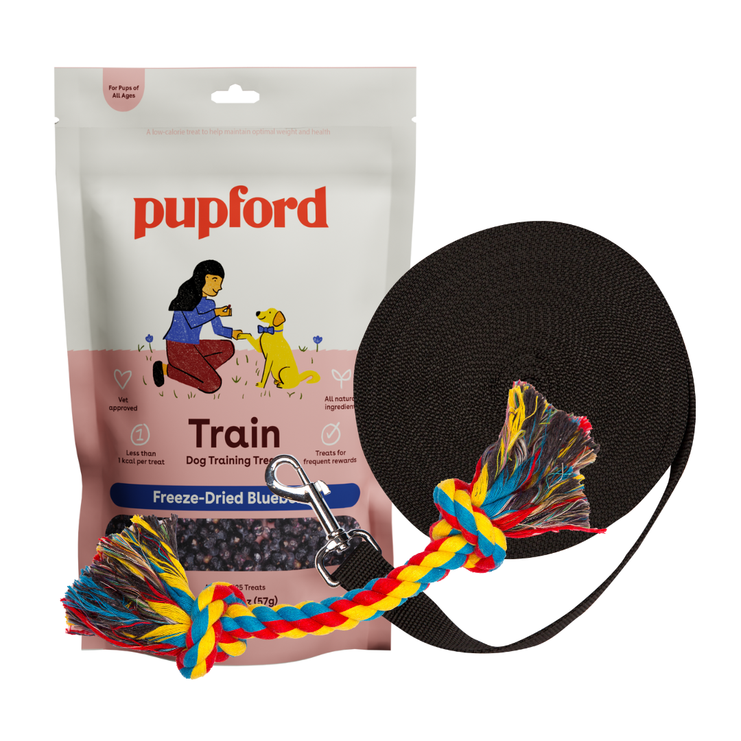 training starter pack with blueberry treats large lead