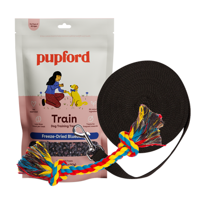 training starter pack with blueberry treats large lead