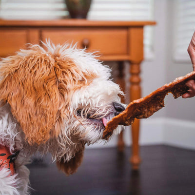 Crunchy Salmon Jerky Treats - Descripción