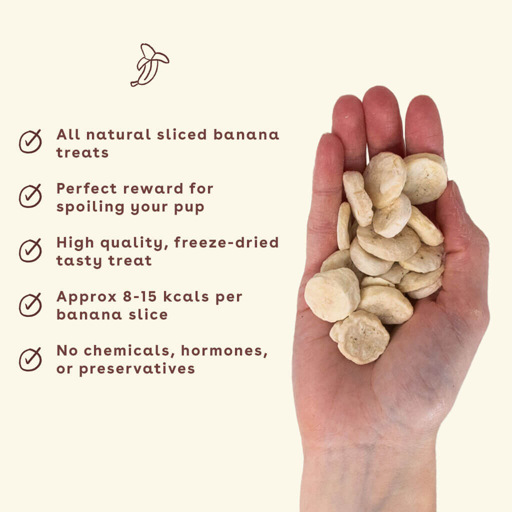 Banana Chips for Dogs | Single-Ingredient Dried Banana Treat | Pupford