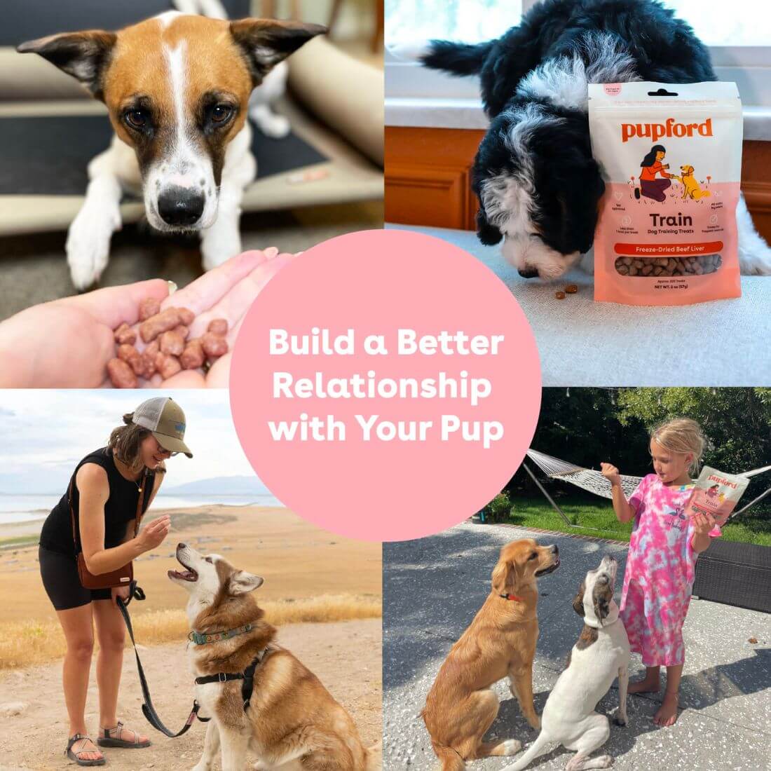 pupford promise