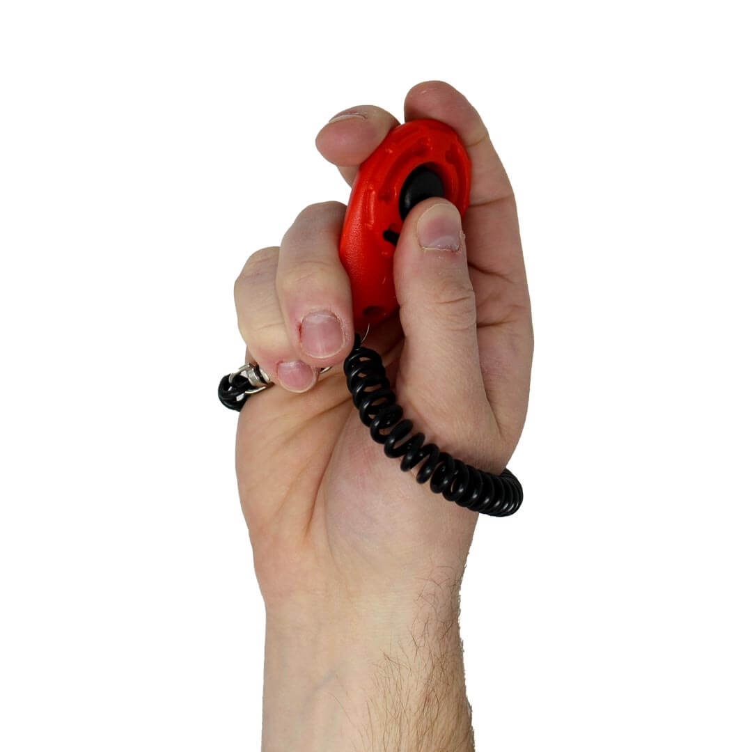 clicker-being-clicked-in-hand | Pupford