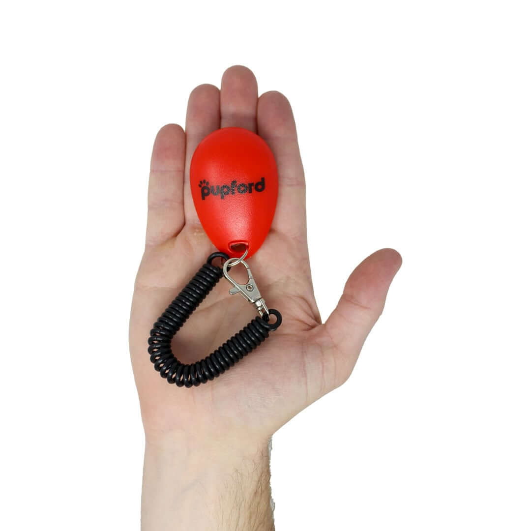 clicker-in-hand | Pupford