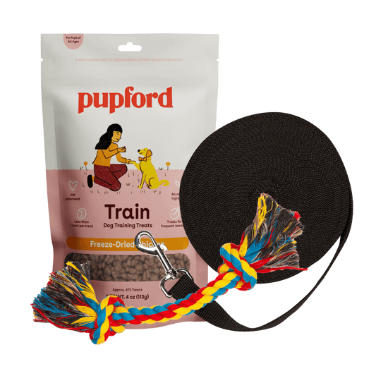 Training Starter Pack with chicken treat large lead