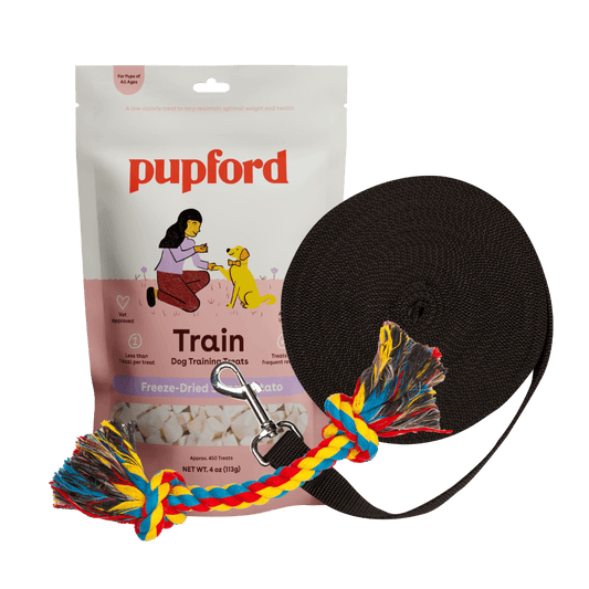 Training Starter Pack with sweet potato long lead