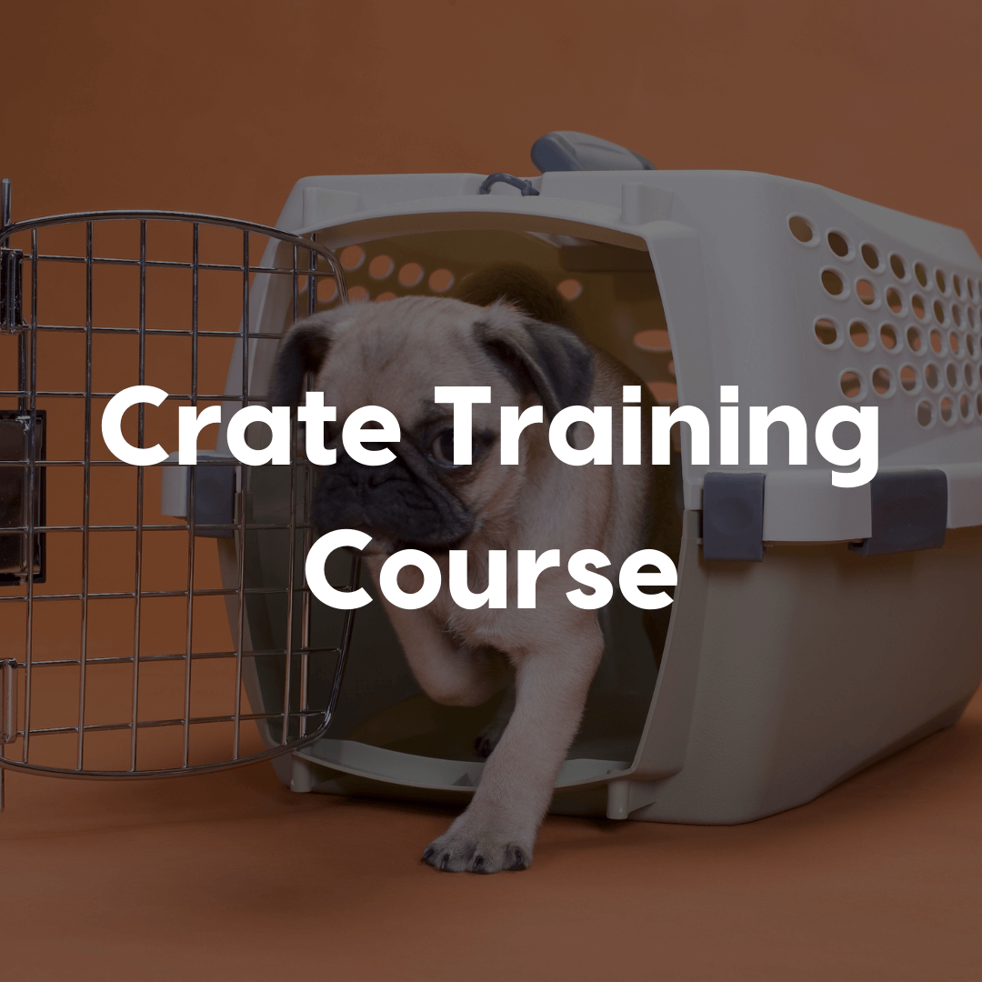 Crate training course gallery image