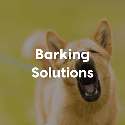 Barking Solutions Gallery Image