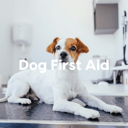 First Aid Course Hero