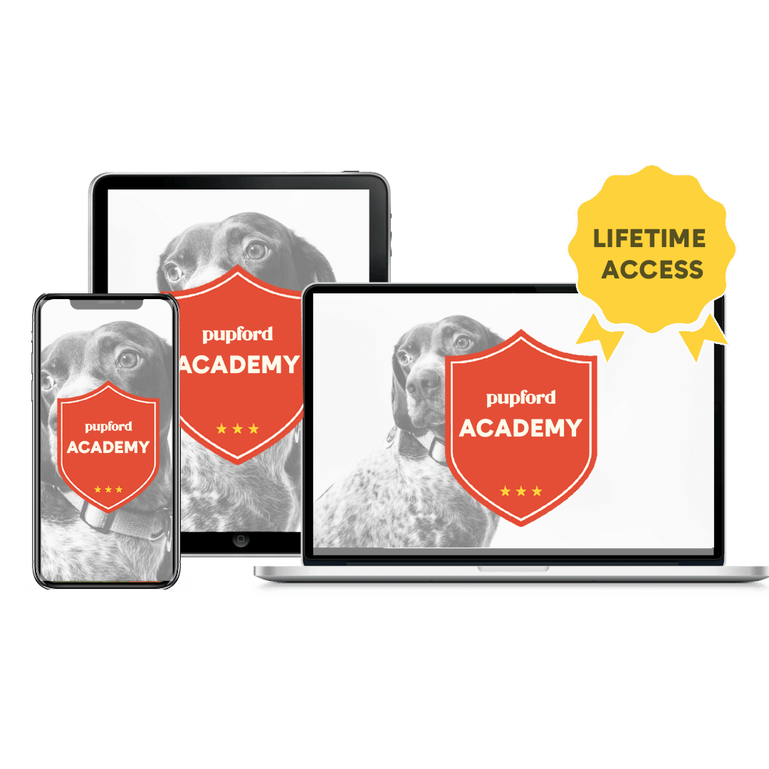 Pupford Academy Lifetime Membership