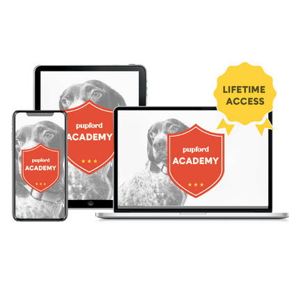 Pupford Academy Lifetime Membership