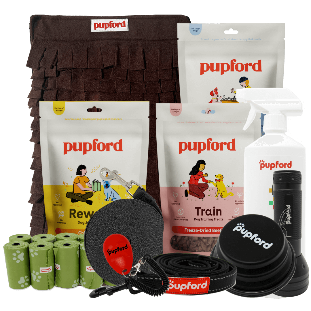 large dog new pup pack