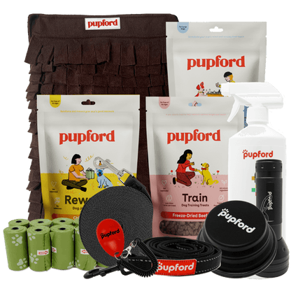 large dog new pup pack