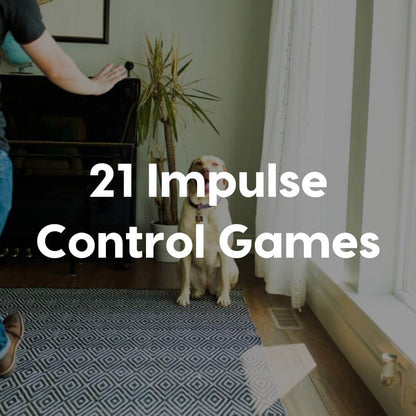21-Impulse-Control-Games-Gallery-Image | Pupford