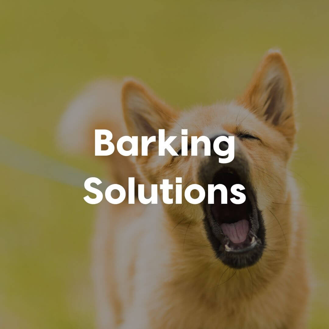 Barking-Solutions-Gallery-Image | Pupford