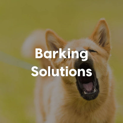Barking-Solutions-Gallery-Image | Pupford