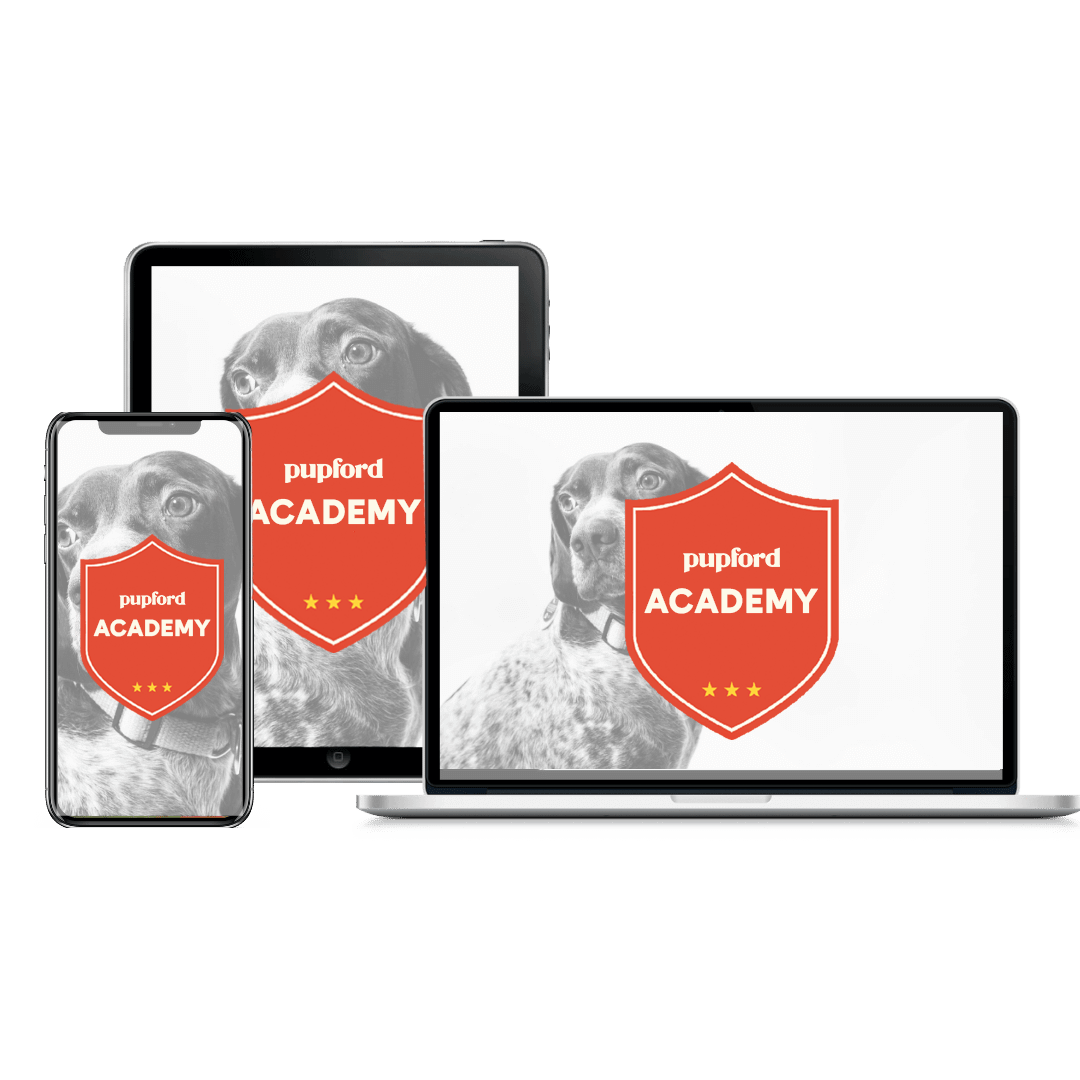 Pupford Academy