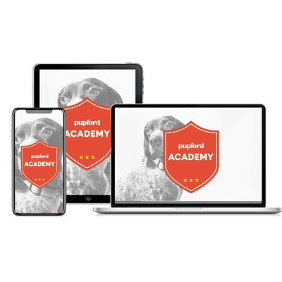 Pupford Academy Monthly - Descripción