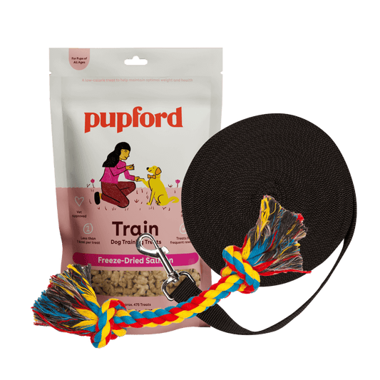 Training Starter Pack with salmon treat large lead