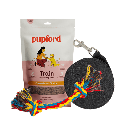 Training Starter Pack with chicken treat small lead