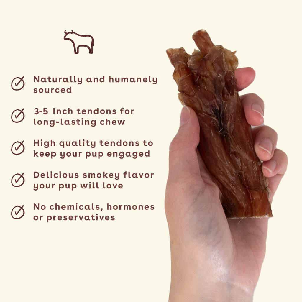 New_Beef-Tendon-chew-in-hand-with-benefits