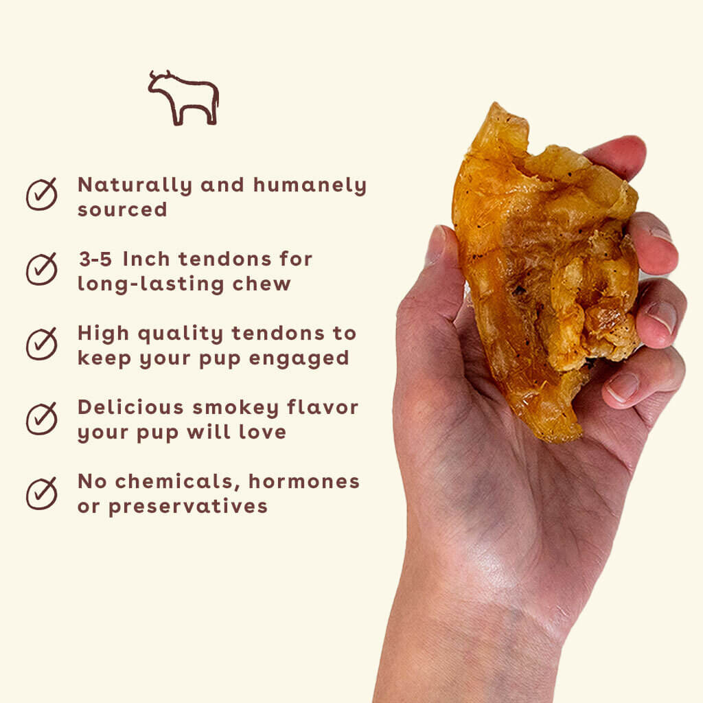 abbie--New_Beef-Tendon-chew-in-hand-with-benefits-amazon-nugget