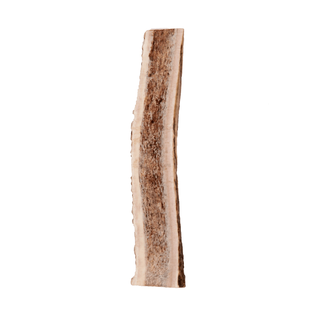 single split elk antler | Pupford 