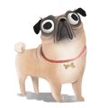 Pug Sticker