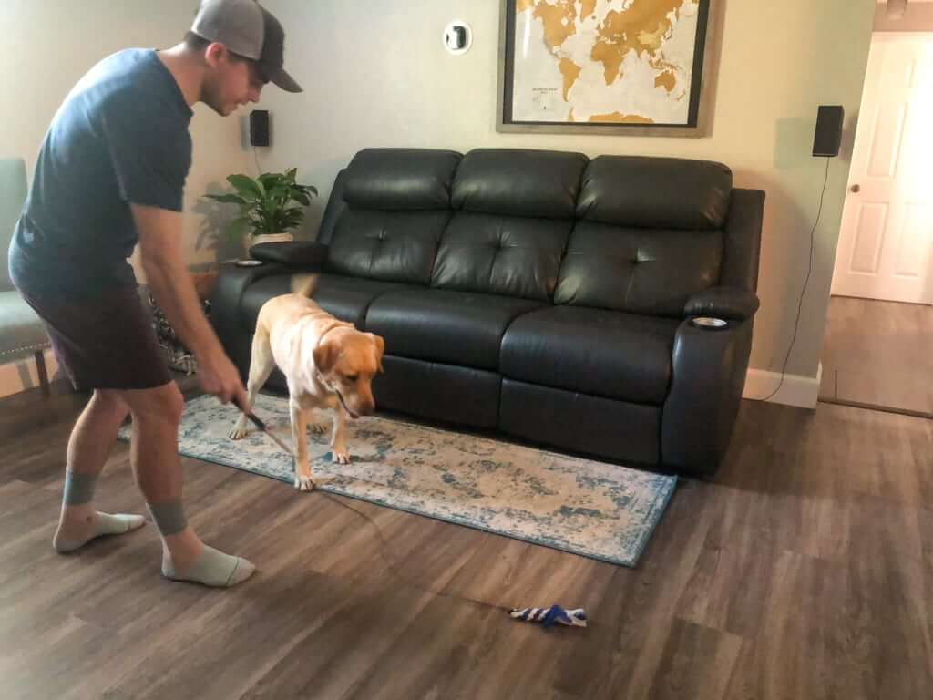 dog-chasing-after-flirt-pole-toy | Pupford