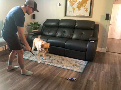 dog-chasing-after-flirt-pole-toy | Pupford