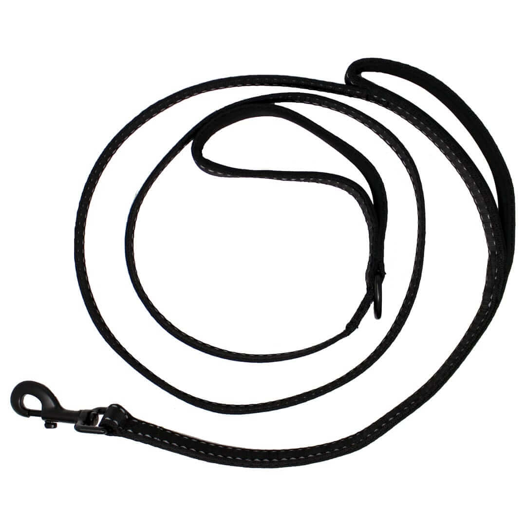 Overhead-of-6-Foot-Leash-Web | Pupford 