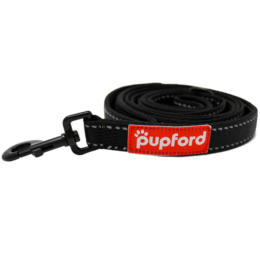 6-Foot-Leash-Main-Product-Image-Site | Pupford 