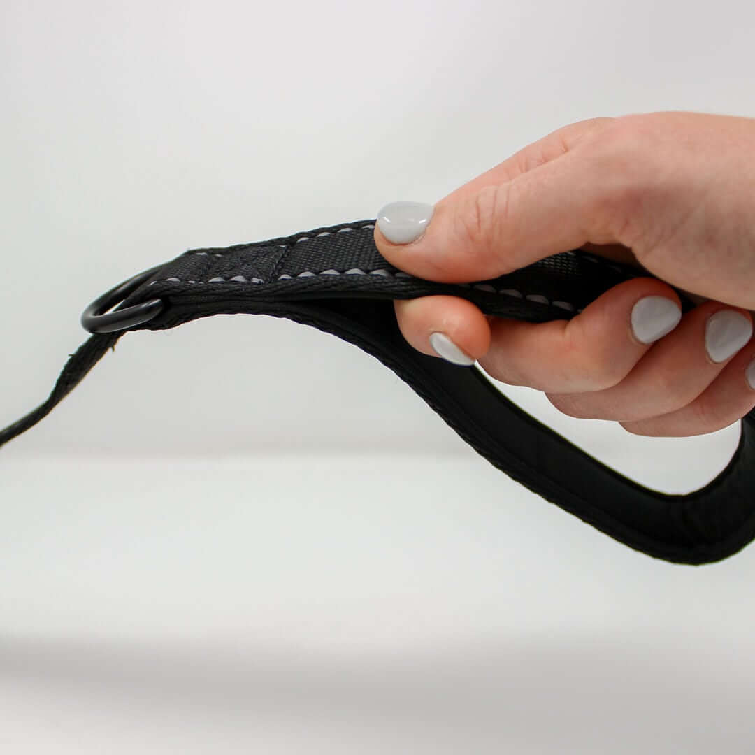 Leash-in-Hand-Web | Pupford 