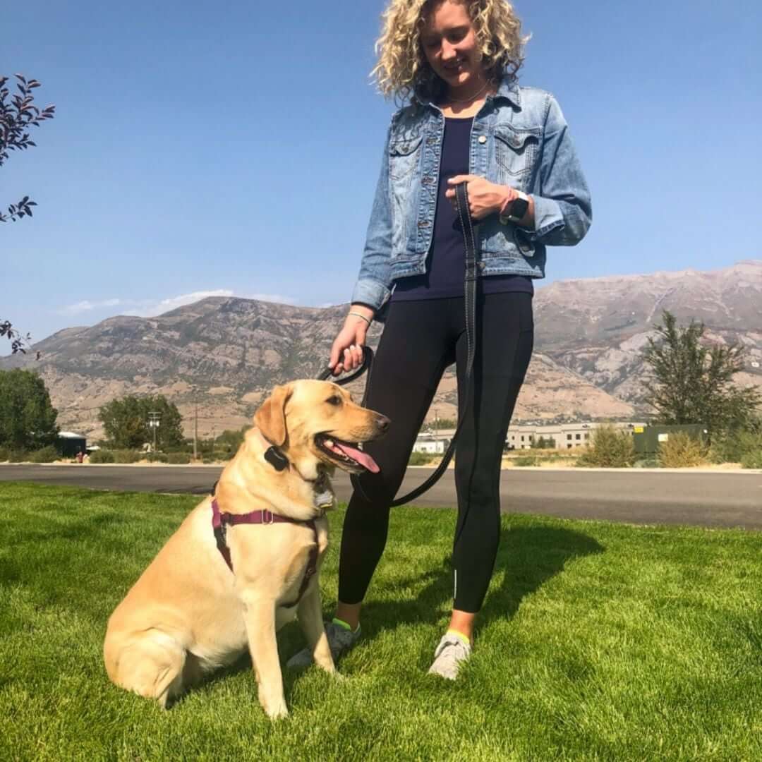 walking-a-dog-with-double-leash-web | Pupford 