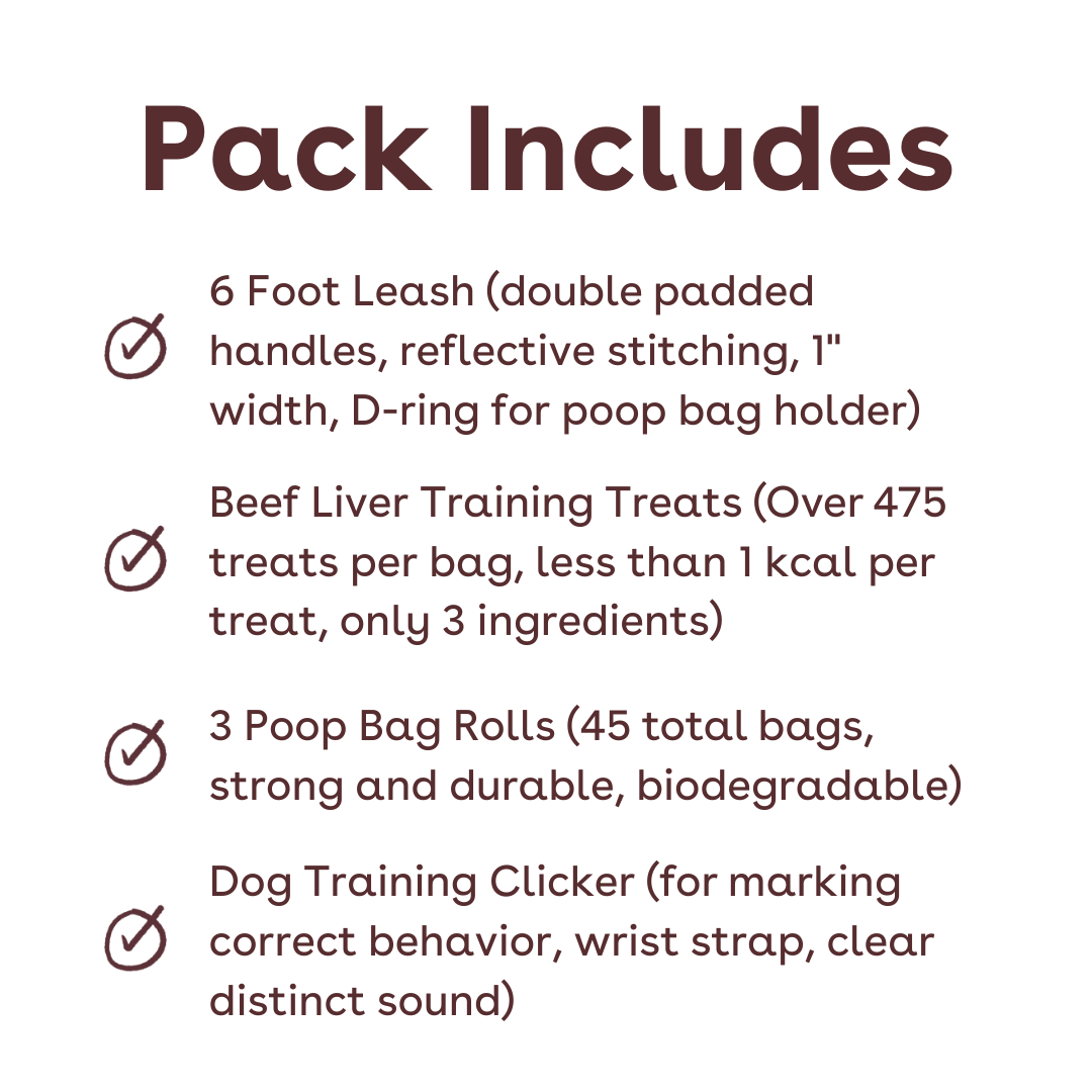 leash training pack inclusions