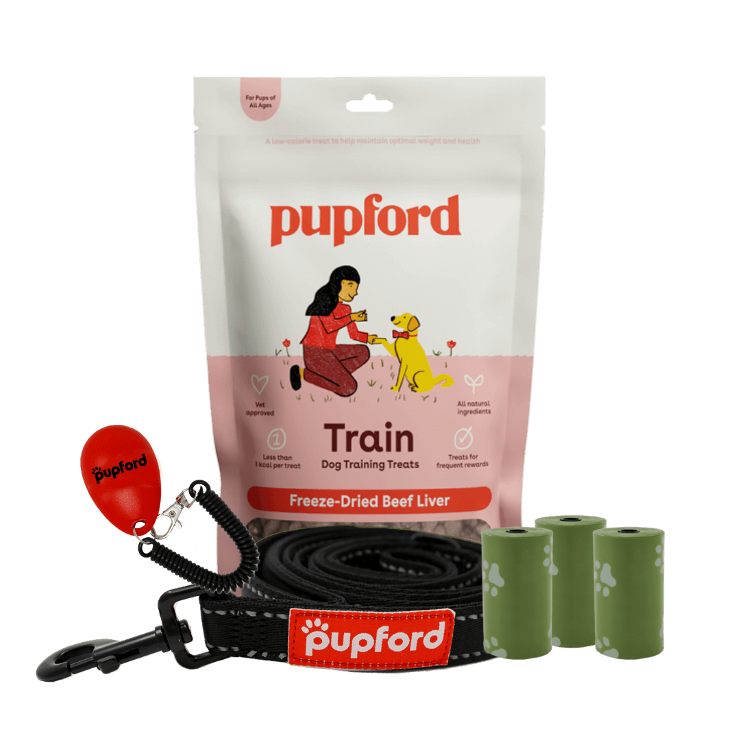 leash training pack